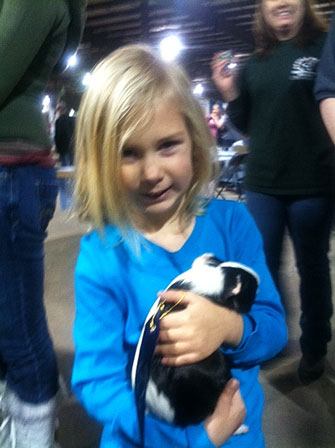 Amazing Pig Winner